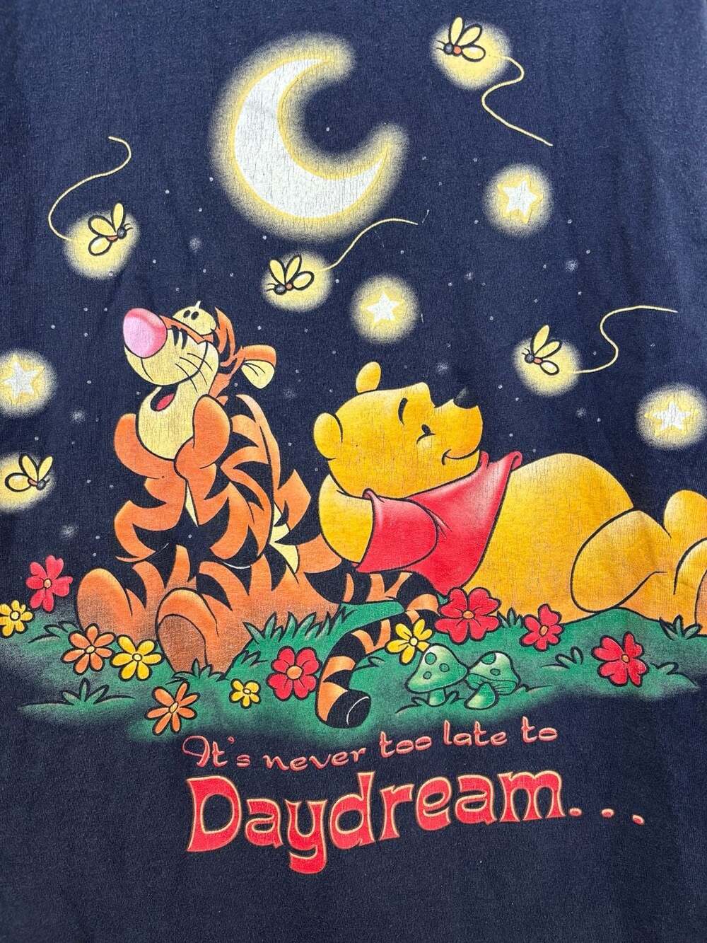 Vintage 90s Disneyland Resort Winnie the Pooh